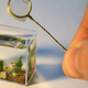 Illustration for article titled The Worlds Smallest Aquarium Only Holds Two Teaspoons of Water